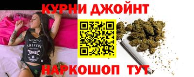 стаф Можга