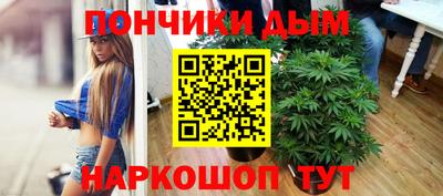 стаф Можга