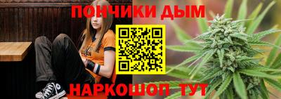 стаф Можга