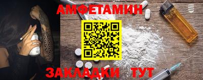 стаф Можга