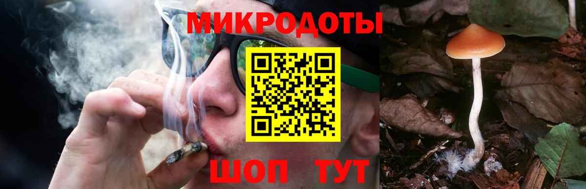 купить  сайты  Вход с VPN  Чебаркуль  Псилоцибиновые грибы мицелий 